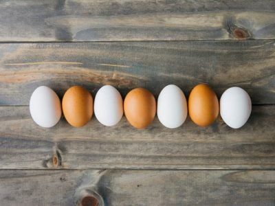 Diversos pratos com ovos preparados de maneiras diferentes