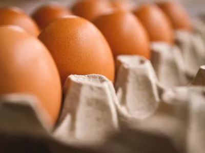 ovos
