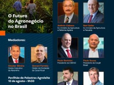 painel do agro (Telefone)
