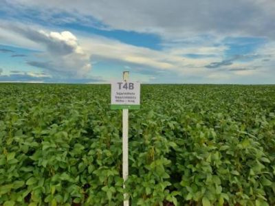 parcela-experimento-CAD-sul-Telefone