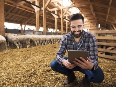 Foto ilustrativa - freepik