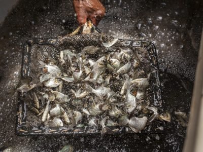 peixes