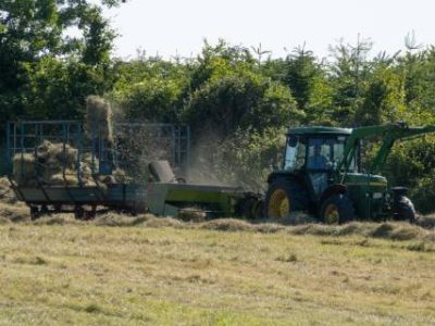 pexels-mirko-fabian-12612082 (Telefone)