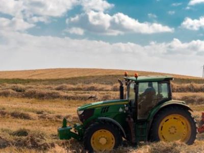 pexels-ofir-eliav-7940474 (Telefone)