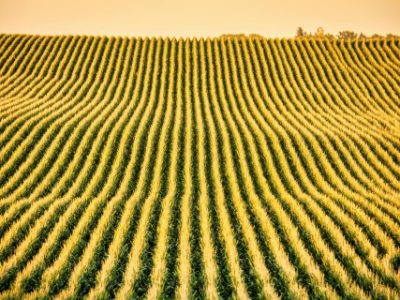 pexels-tomfisk-13525130 (Telefone)