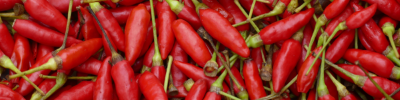 pimenta malagueta (Pequeno)