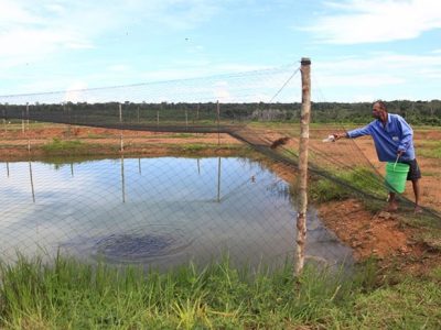 Foto: Jefferson Christofoletti