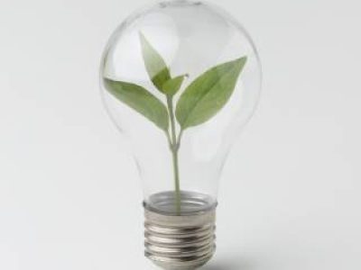 planta-pequena-dentro-da-lampada (Telefone)