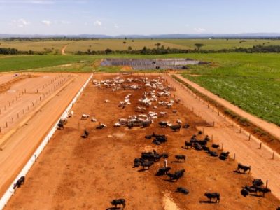 pontes-e-lacerda-2-Telefone