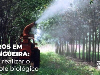 posts de materias