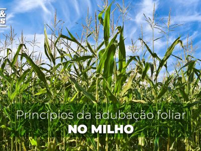 posts de materias