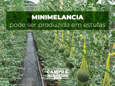 posts de materias15