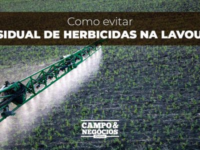 posts de materias19