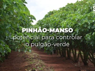 posts de materias2
