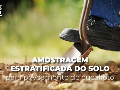 posts de materias3