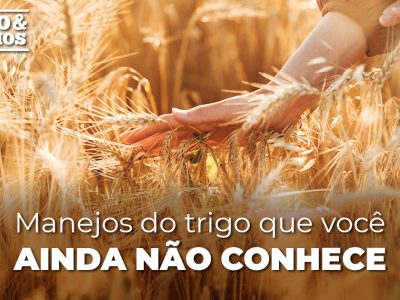 posts de materias3