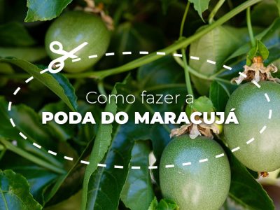 posts de materias3