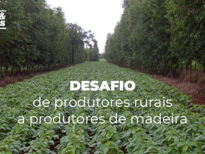 posts de materias3