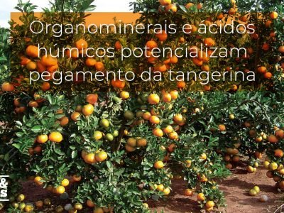 posts de materias4