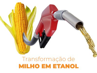 posts de materias5
