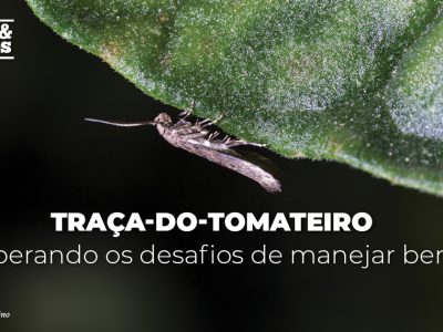 posts de materias5