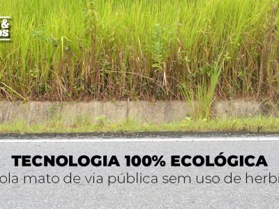 posts de materias6