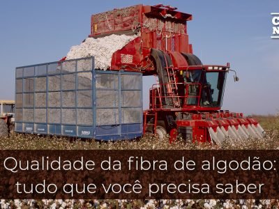 posts de materias6
