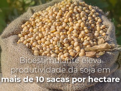 posts de materias7