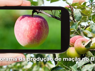 posts de materias7