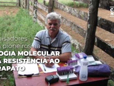 posts de materias9
