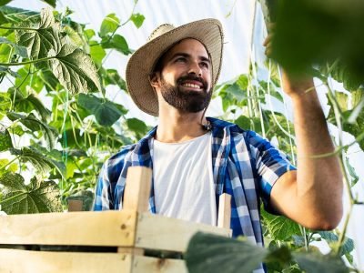 Produtor - Crédito: freepik