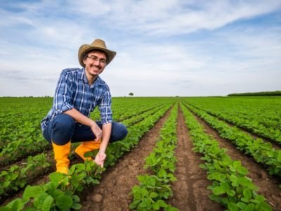 Portrait,Of,Farmer,Who,Is,Cultivating,Soybean.,He,Is,Examining