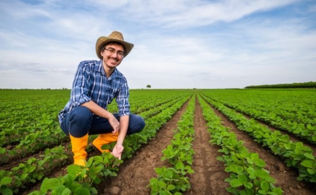 Portrait,Of,Farmer,Who,Is,Cultivating,Soybean.,He,Is,Examining