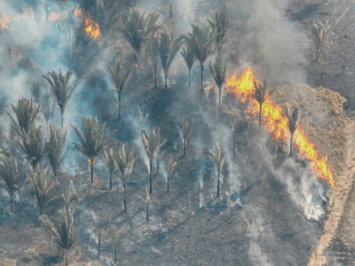 Fumaça causada por queimadas em Porto Velho durante período seco