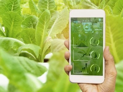 Rastreabilidade - Fotos: Shutterstock