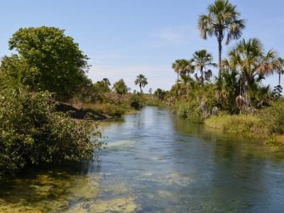 Produtores defendem agricultura irrigada para impulsionar produtividade