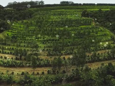 Relevos - Créditos: Pretaterra