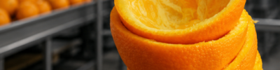 residuos-laranja-ufscar-compostos-bioativos