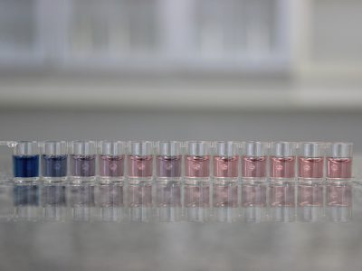 reuniao-trigo-teste-don-biotrigo