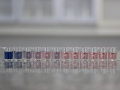 reuniao-trigo-teste-don-biotrigo