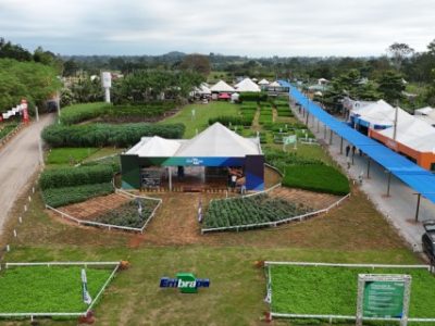 rondonia-rural-show-Telefone