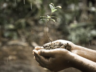 Solo - Foto: Pixabay