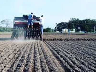 Aplicativo auxilia na gestão do plantio - 
Divulgação