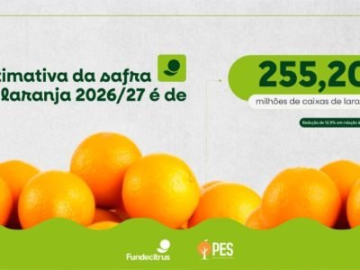 safra-laranja-2026-27-fundecitrus-estimativa