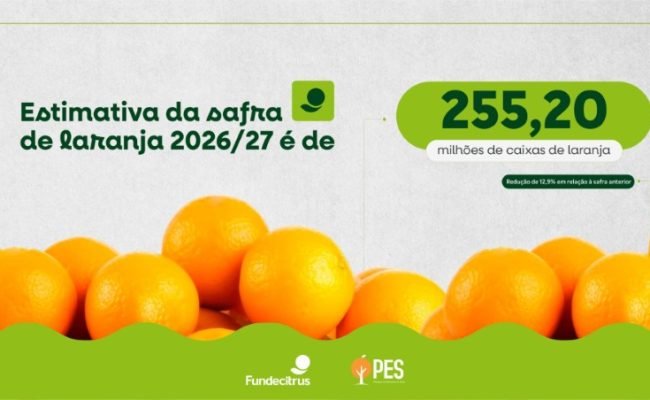 safra-laranja-2026-27-fundecitrus-estimativa