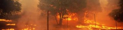 secas-e-incendio-florestal-1-1024x676 (Telefone)