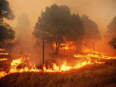 secas-e-incendio-florestal-1-1024x676 (Telefone)