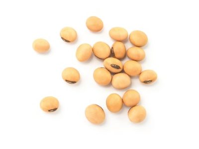 Soybean seeds isolated on white background , top view , flat lay.