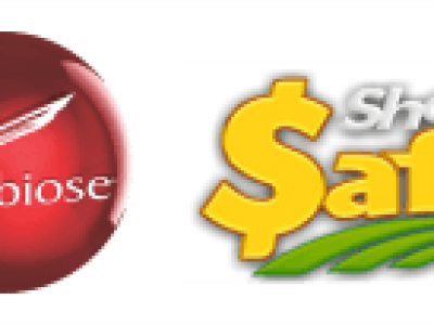 show safra simbiose