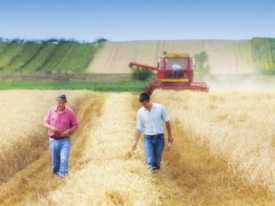 shutterstock_1029066064-03-2018